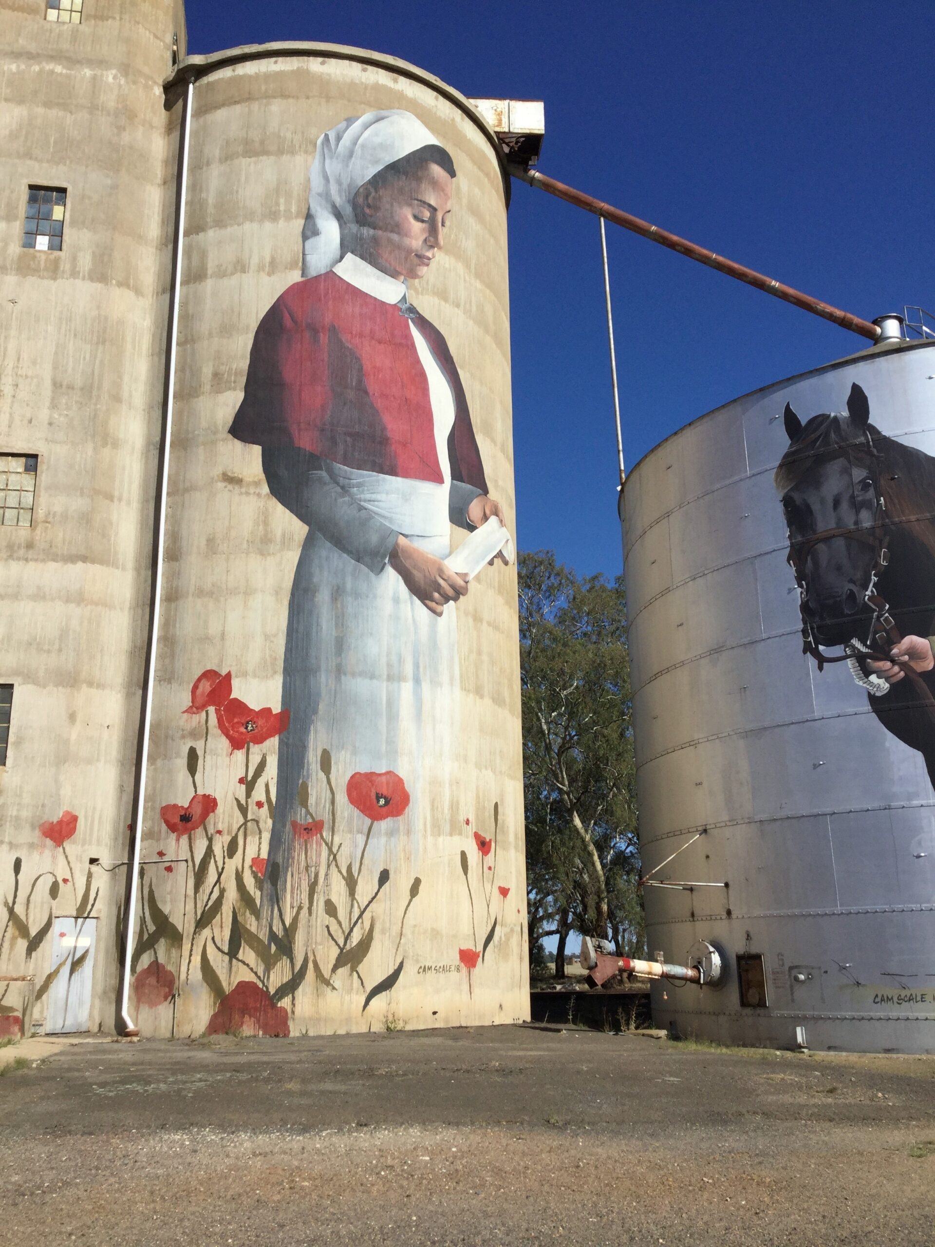 Silo nurse