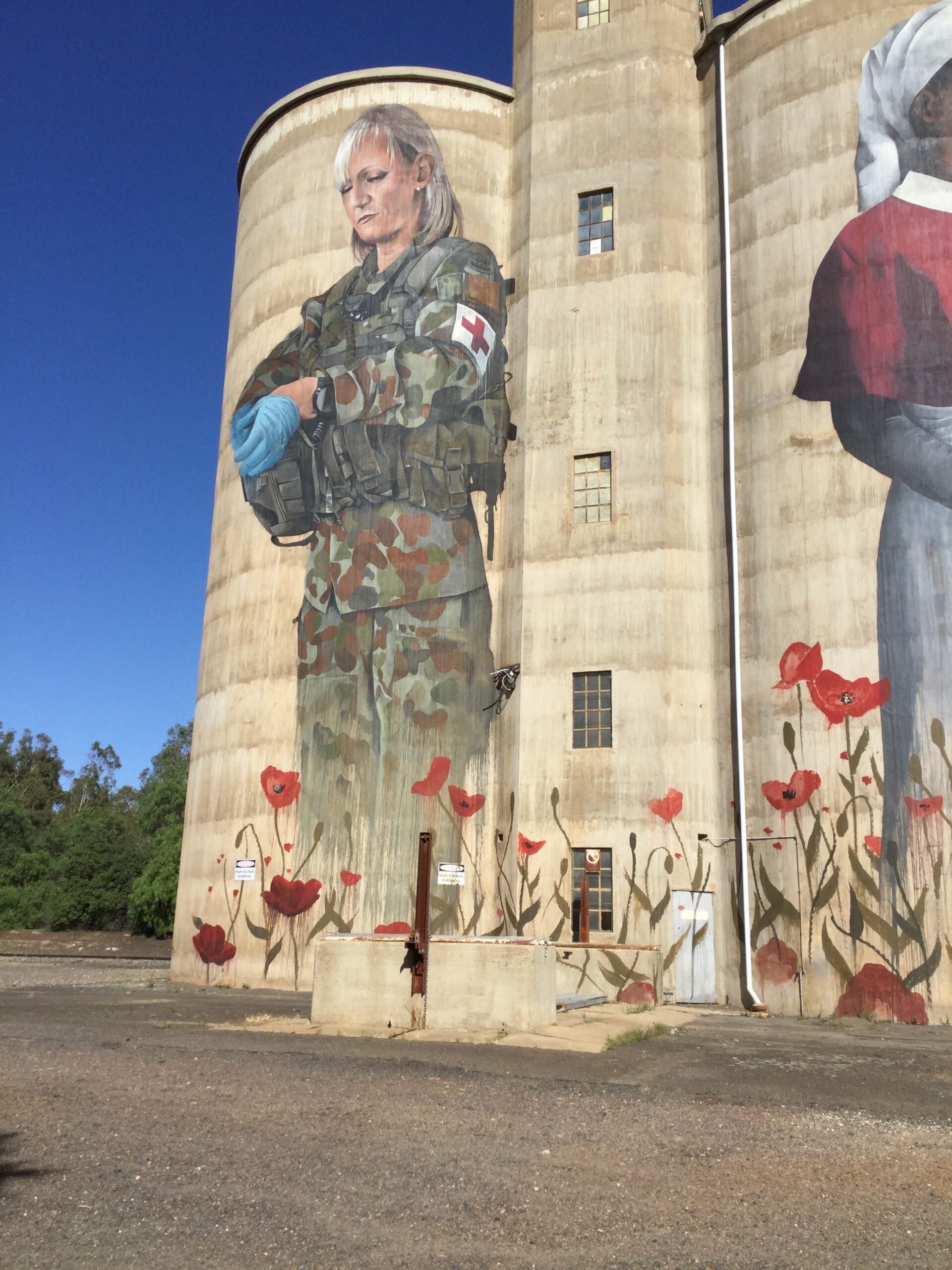 silo army nurse