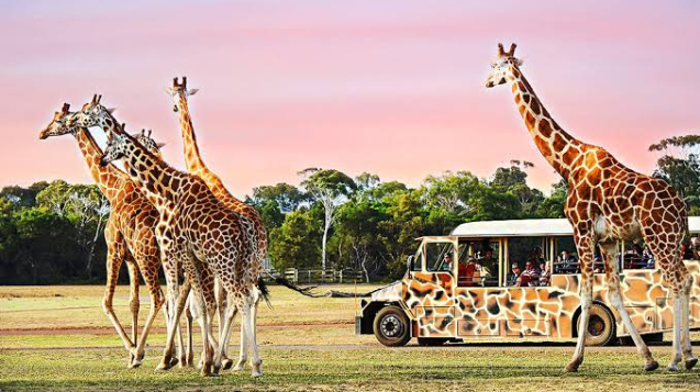 werribeeZoo